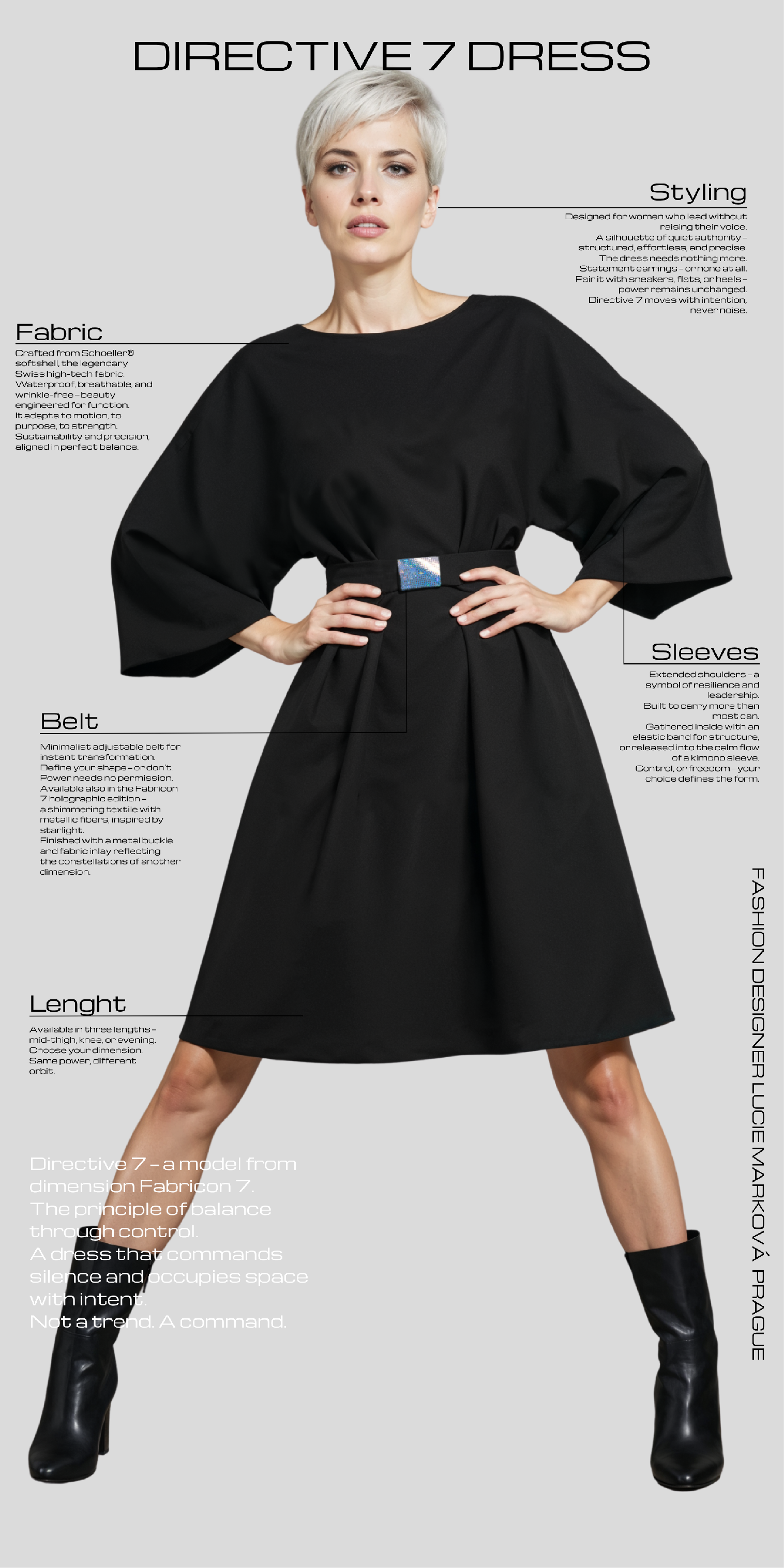 DIRECTIVE 7 DRESS