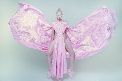 CELESTIAL ROSE DRESS